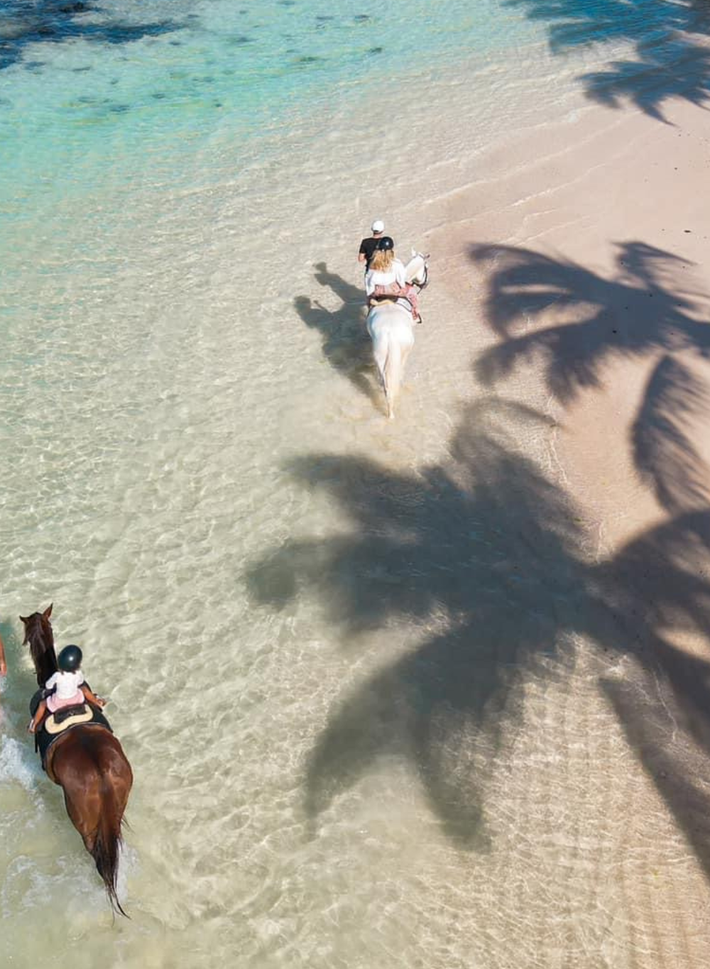 Untitled design (33)