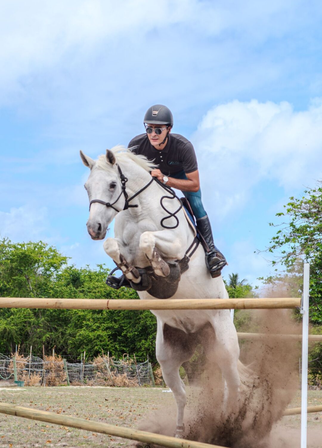 Untitled design (38)