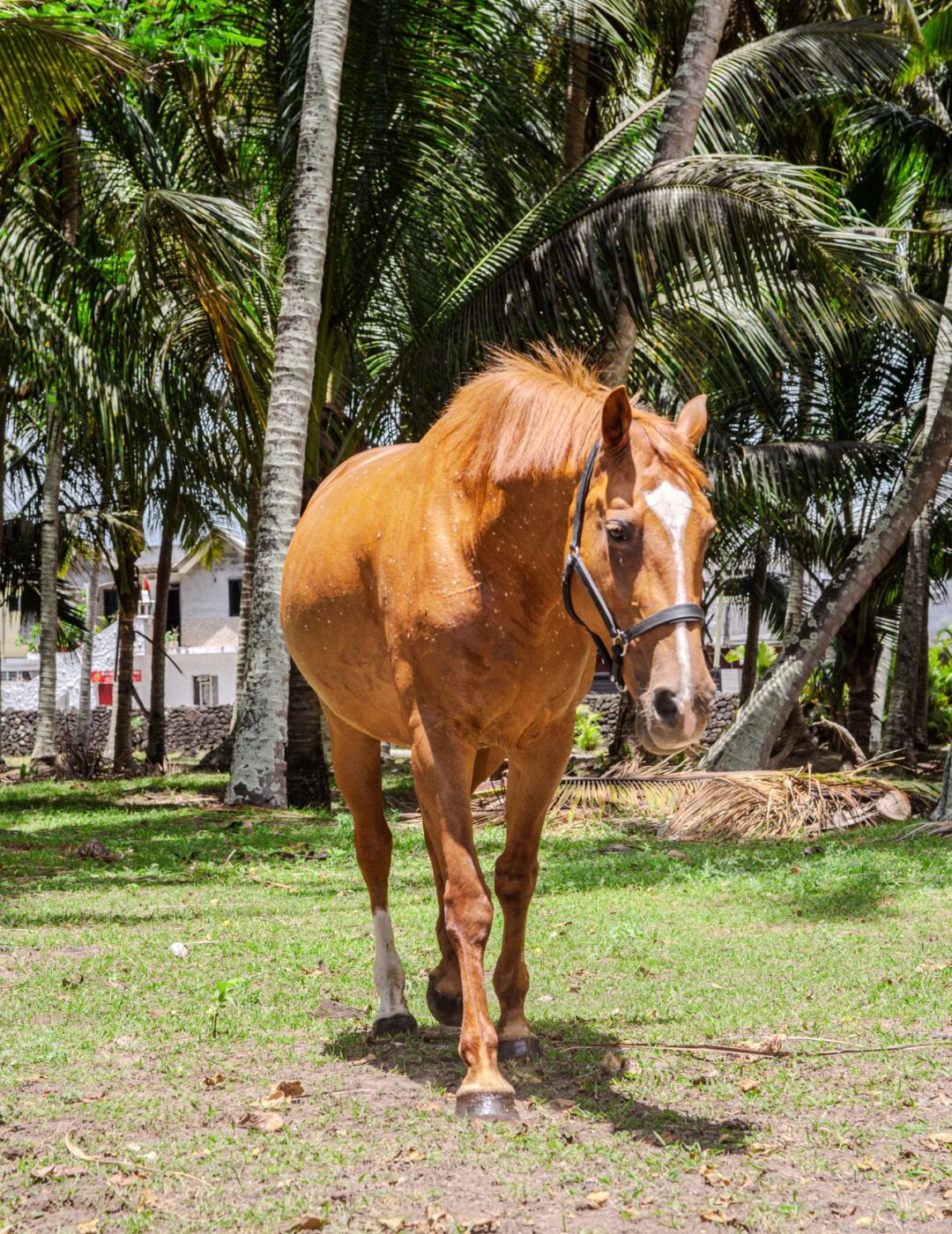 Untitled design (40)