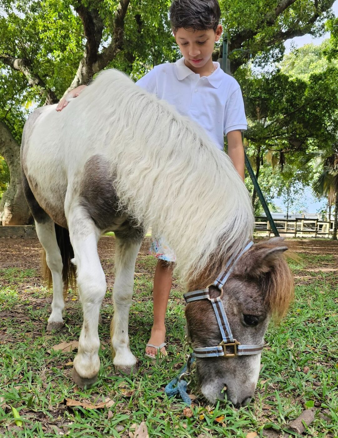 Untitled design (55)