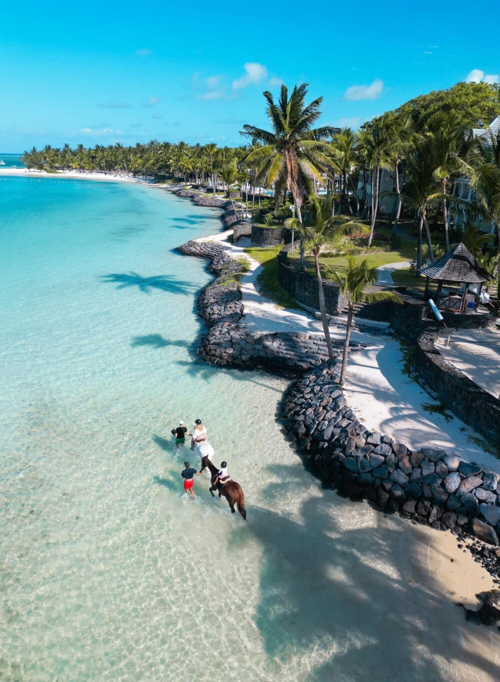 WhatsApp Image 2024-11-20 at 3.13.17 PM